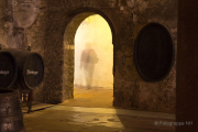 Fotowalk Bingen und Kloster Eberbach - Fotografin Nicole Gieseler