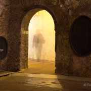 Fotowalk Bingen und Kloster Eberbach - Fotografin Nicole Gieseler