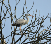 Fotowalk Limburg - Fotograf Albert Wenz