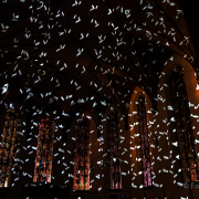 Fotowalk Luminale 2016 Frankfurt - Fotografin Jutta R. Buchwald