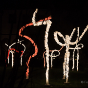 Fotowalk Luminale 2016 Frankfurt - Fotografin Jutta R. Buchwald