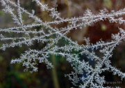 Winterlichter Fotograf Helmut Joa
