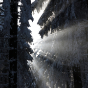 Winterlichter Fotograf Helmut Joa