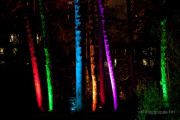 Winterlichter Fotografin Jutta R. Buchwald