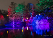 Winterlichter Fotografin Jutta R. Buchwald