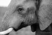 Ausstellung Seniorenresidenz - Fotografin Nicole Gieseler