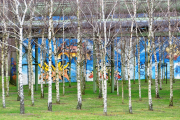 Fotograf Albert Wenz - Fototour Ruhrpott Rheinpark Duisburg