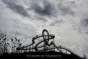 Fotografin Anne Jeuk - Fototour Ruhrpott Tiger and Turtle Duisburg