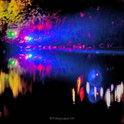Fotograf Joachim Clemens - Winterlichter Palmengarten
