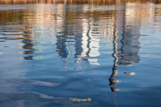 Ausstellung Waldschwimmbad Fotograf Joachim Clemens