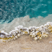 Ausstellung Waldschwimmbad Fotografin Nicole Gieseler