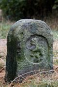 WCB_10_Hochseil