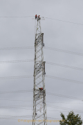 WCB_11_Hochseil
