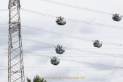 WCB_17_Hochseil