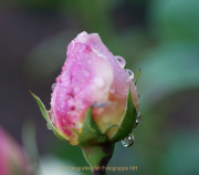 Wasser - vom Tropfen bis zum Ozean - Fotografin Anne Jeuk