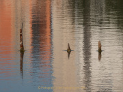Wasser - vom Tropfen bis zum Ozean - Fotografin Anne Jeuk