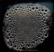 Wasser - vom Tropfen bis zum Ozean - Fotografin Anne Jeuk