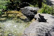 Wasser – vom Tropfen bis zum Ozean - Fotografin Christa Zimmermann