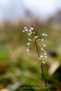 Wasser – vom Tropfen bis zum Ozean - Fotografin Jutta R. Buchwald