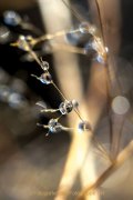 Wasser – vom Tropfen bis zum Ozean - Fotografin Jutta R. Buchwald