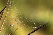 Wasser – vom Tropfen bis zum Ozean - Fotografin Jutta R. Buchwald