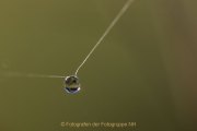 Wasser – vom Tropfen bis zum Ozean - Fotografin Jutta R. Buchwald