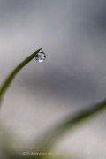 Wasser – vom Tropfen bis zum Ozean - Fotografin Jutta R. Buchwald