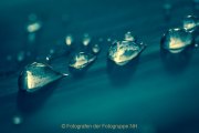 Wasser – vom Tropfen bis zum Ozean - Fotografin Jutta R. Buchwald