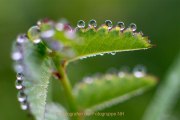 Wasser – vom Tropfen bis zum Ozean - Fotografin Jutta R. Buchwald