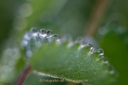 Wasser – vom Tropfen bis zum Ozean - Fotografin Jutta R. Buchwald