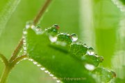 Wasser – vom Tropfen bis zum Ozean - Fotografin Jutta R. Buchwald