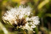 Wasser – vom Tropfen bis zum Ozean - Fotografin Jutta R. Buchwald