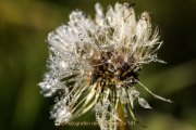 Wasser – vom Tropfen bis zum Ozean - Fotografin Jutta R. Buchwald