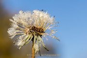 Wasser – vom Tropfen bis zum Ozean - Fotografin Jutta R. Buchwald