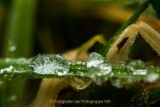 Wasser – vom Tropfen bis zum Ozean - Fotografin Jutta R. Buchwald