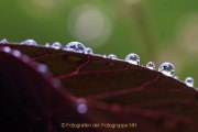Wasser – vom Tropfen bis zum Ozean - Fotografin Jutta R. Buchwald
