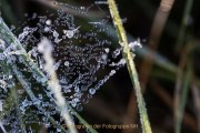 Wasser – vom Tropfen bis zum Ozean - Fotografin Jutta R. Buchwald