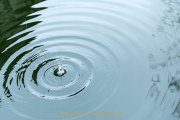 Wasser – vom Tropfen bis zum Ozean - Fotografin Jutta R. Buchwald
