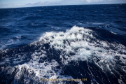 Wasser - vom Tropfen bis zum Ozean - Fotograf Werner Ch. Buchwald