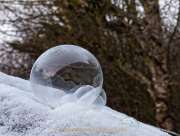 AnneJ_03