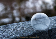 AnneJ_04_