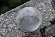 AnneJ_05