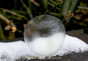AnneJ_06