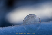 AnneJ_07