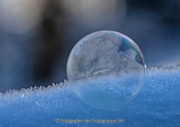 AnneJ_08