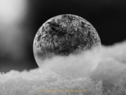 AnneJ_10_2021-sw