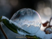 AnneJ_13_2021_