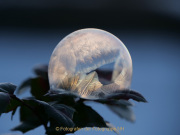 AnneJ_14_2021-bei-minus-12-Grad