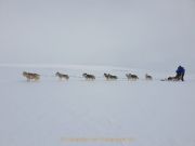 CZ_Winterfreude_07