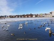 CZ_Winterfreude_08